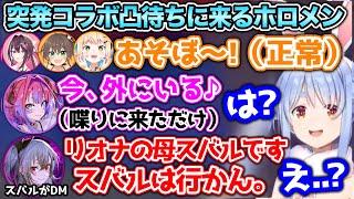 かまちょ通話を掛けてくるヴィヴィと、リオナの母を名乗る人物からDMが届き困惑するぺこら【ホロライブ切り抜き/兎田ぺこら/AZKi/夏色まつり/桃鈴ねね/響咲リオナ/綺々羅々ヴィヴィ】
