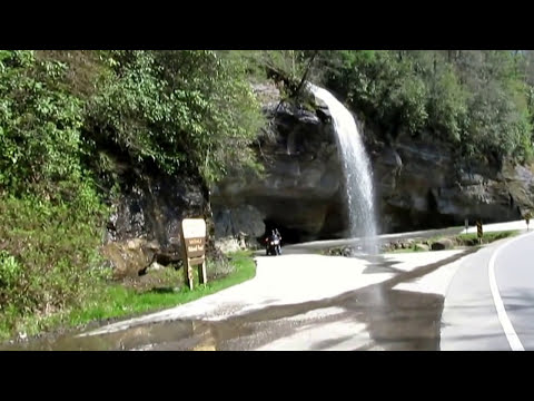 Van Hook Glade National Forest Campground - 5 of 7