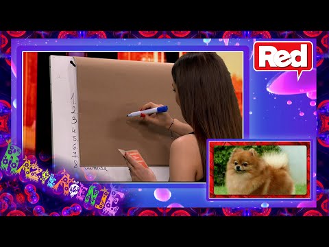 Razvlačenje - deo 5 - Gosti: Borislav Filipović, Tamara Marinković - Knnila brend - 23.06.2021