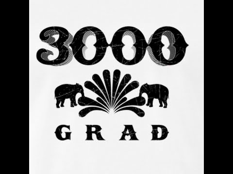 Seth Schwarz @ 3000 Grad Wanderzirkus 2015 (Skazka Orchestra / Georgian Dance - Seth Schwarz Remix)