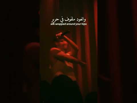 Haifa Wehbe #shorts #egyptian #rnb #arabic #newmusic #reels