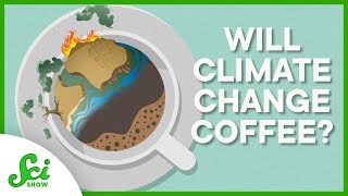Is Coffee Disappearing... or Will It Just Taste Different?