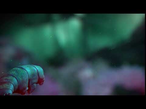 Journey of the Waterbear - Tardigrade Swimcycle test