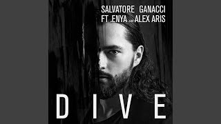 Dive (feat. Enya and Alex Aris)