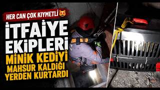 Mahsur Kalan Kedi Sağ Salim Kurtarıldı