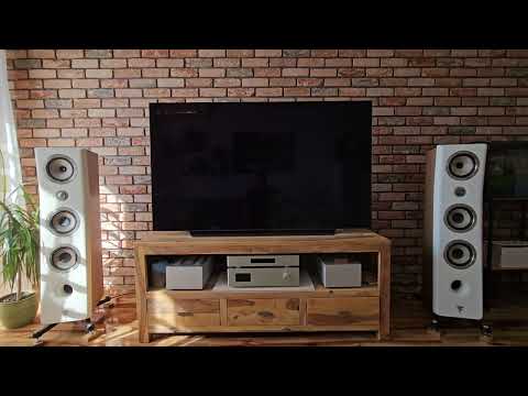 Lumin U2 mini with LPSU +Musetec DA005 DAC+Musetec SA001 PreAmp +Audiolab 8300 MBs+ Focal Kanta No.2