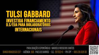 Análise De Cenário - Tulsi Gabbard Investiga Financiamento DS/Eua Para Biolaboratórios Internacionai