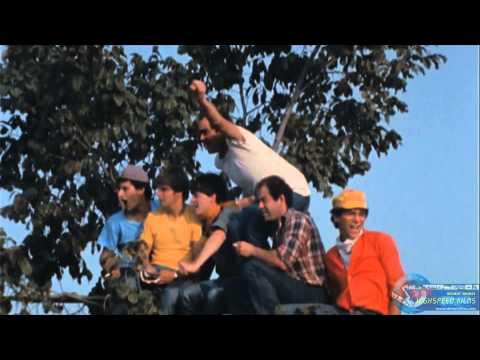 Röhrls Katze Trailer Deimelfilm