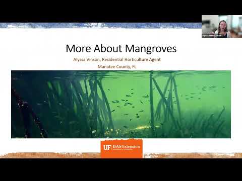 Mangroves