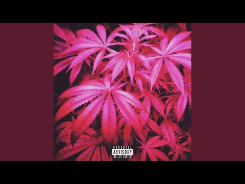 Culture (feat. Troy Mob)