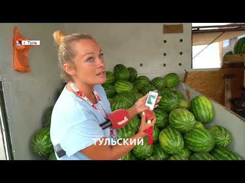 Какие арбузы продают в Туле: тест на нитраты