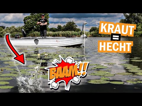 Ab ins Kraut: Hechte fangen inmitten von Seerosen I So klappt's!
