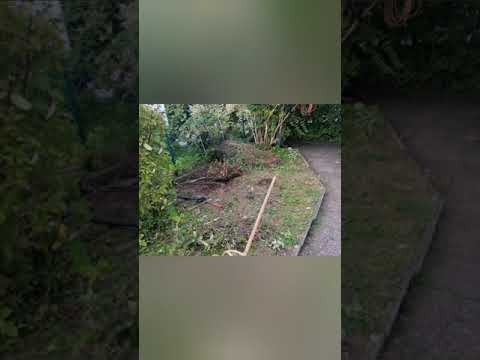 greenhouse made by old windows. växthus av gamla fönster. بيت زجاجي من النوافذ القديمه