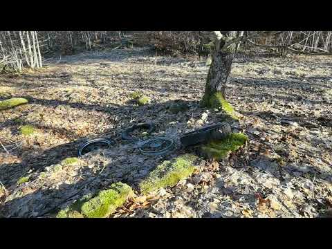 TORPRUINEN i ARVIDSTORP - norr om KALLINGE - 2022-02-28 - Huawei P40 PRO Plus - BLEKINGE