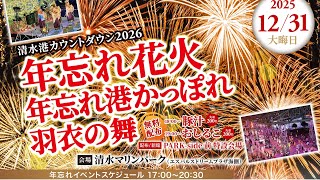 【2025年最後の日】年忘れ花火の映像です