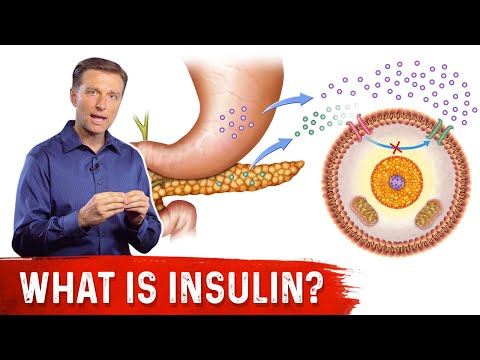 What Is Insulin? – Dr. Berg