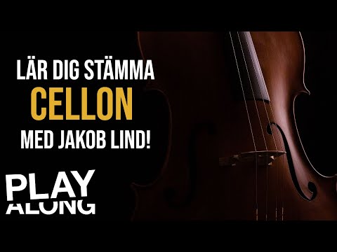 Lär dig stämma cellon med Jakob Lind  🎸- DEL 2