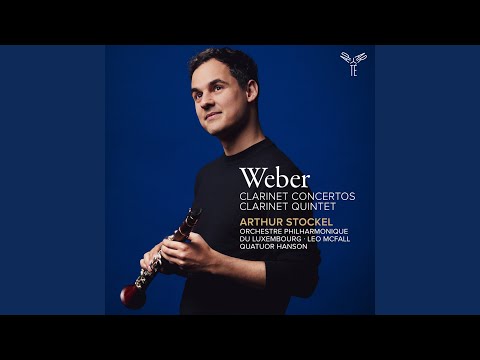 Clarinet Concerto No. 1 in F Minor, Op. 73: I. Allegro