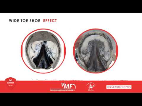 Werkman Horseshoes E Lectures Part 1 - Wide Toe Shoe