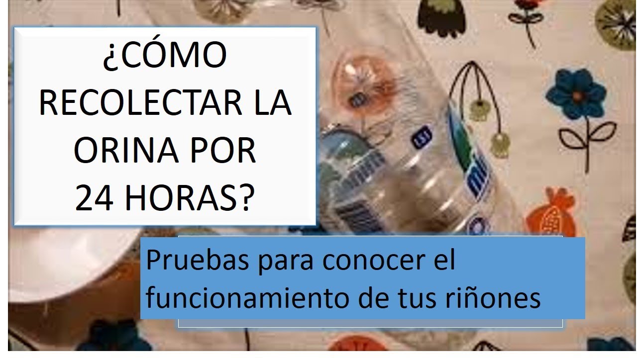 Watch Cómo recolectar orina de 24 horas. indicaciones muestra de orina 24 horas Now Cómo recolectar orina de 24 horas. indicaciones muestra de orina 24 horas