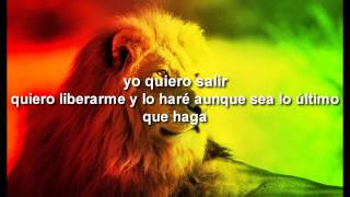 Que será de mi Music Video