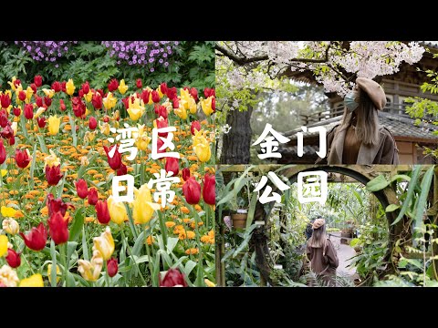 Uma viagem de um dia ao Parque Jinmen | Jardim de Chá Japonês | Conservatório de Flores | Carne Seca Coreana | Museu de Young | Jardim de Flores Yu Jinxiang | SF Vlog.07