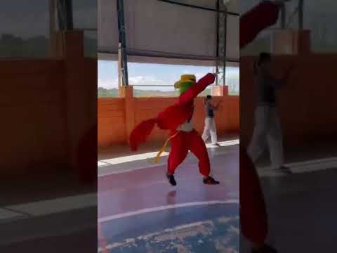 #shorts #carretafuracão #fofão