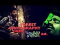 Forest Photography Theme Mayakkam Enna IndianMovieBGMs
