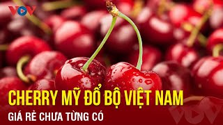Download the video "Cherry Mỹ đổ bộ Việt Nam, giá rẻ chưa từng có | Báo Điện tử VOV"