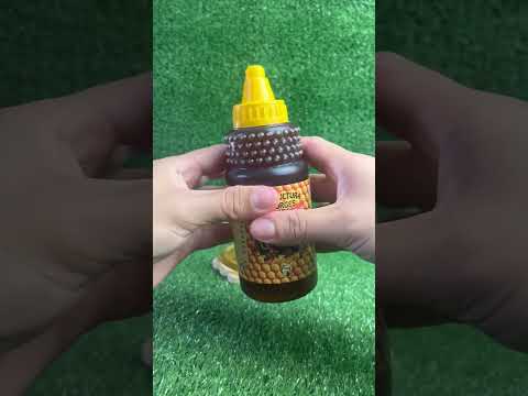 Vídeo Apicultura Borges