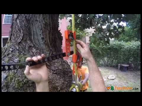 YouTube Thumbnail AifMeyyrWnY