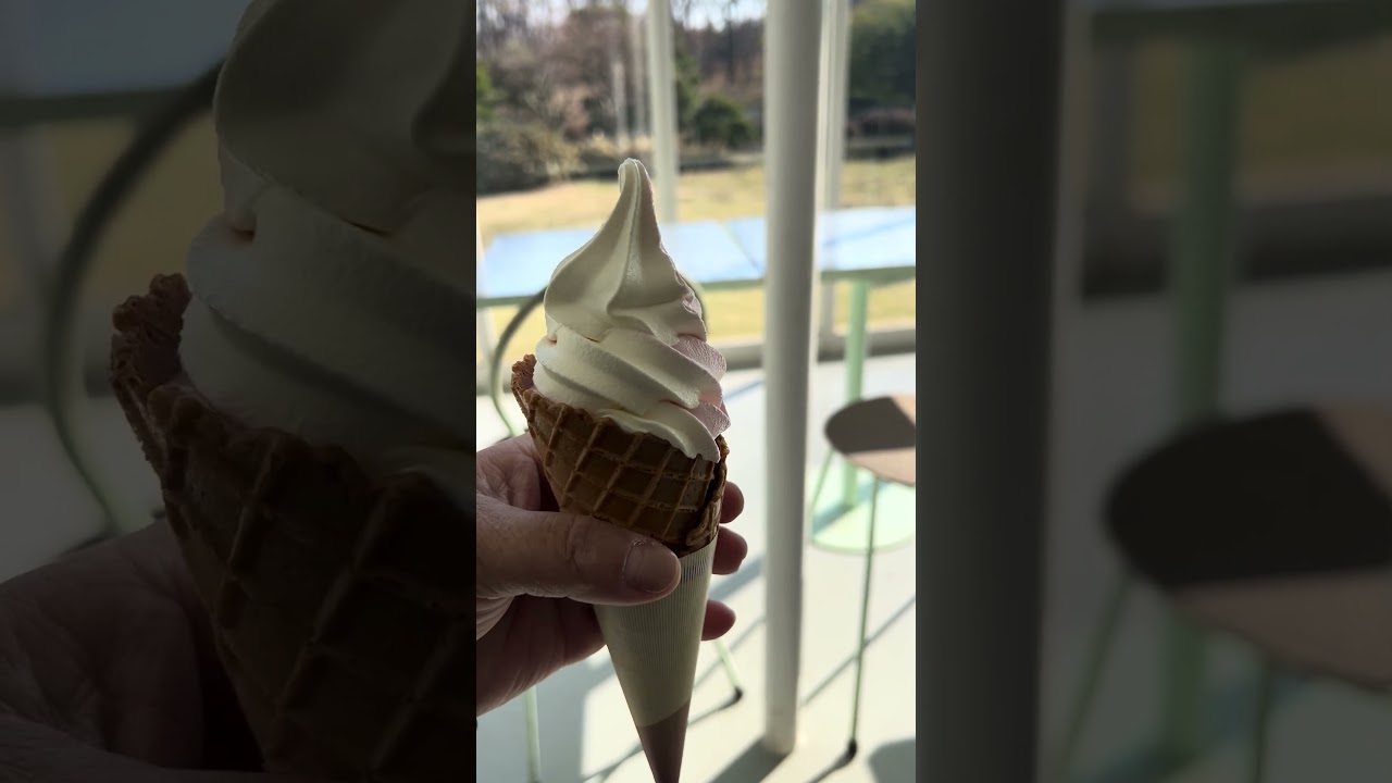 #shortvideo #softcream