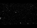 Snowfall HD 60fps (free stock footage)