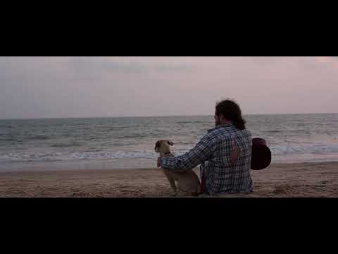 MLV A001 131951 C00139