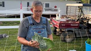 A Viewer Saw Us Struggle and Saved Our Garden!