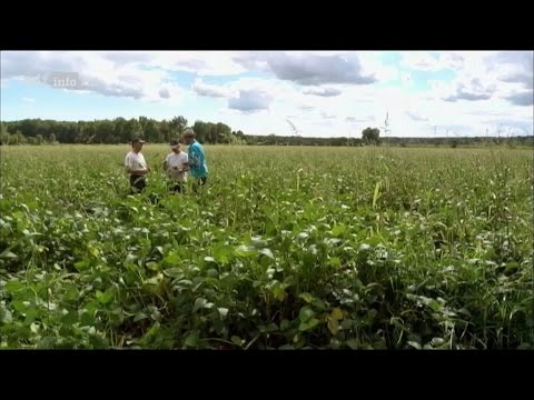 [Doku] planet e - Gutes Soja, schlechtes Soja [HD]