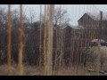 2013 Order Hop Rhizomes Sales Promo