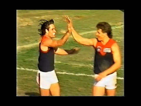 The Allen Jakovich & Andy Lovell Show - 8 goals each v Richmond - 1993 Round 21 - MCG - VFL