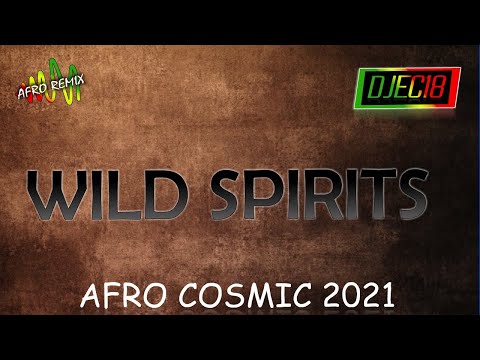 AFRO COSMIC 2021 - Wild Spirits (DJEC18 REMIX)