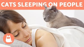 Why Does My CAT SLEEP on TOP of ME? 🐱 Is It SAFE?