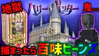 【マイクラ】ディメンター鬼に捕まったら『百味ビーンズ』食べます(地獄)【ハリポタ鬼ごっこ】