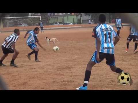 Fragmentos da Várzea - Cachorro camisa 10 (Futebol de Várzea)