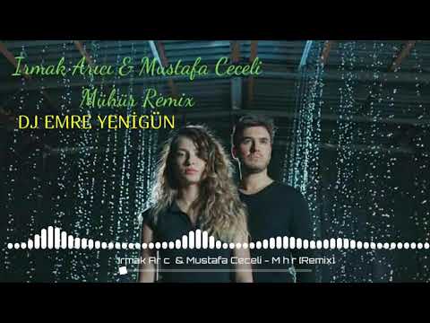 Dj Emre Yenigün ft. Irmak Arıcı & Mustafa Ceceli - Mühür [Remix 2020]
