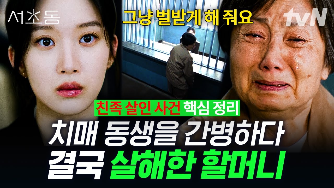 [📋사건 일지] 궁지에 내몰린 할머니의 범행 뒤에 숨겨진 충격적 사연 | #서초동 #LawandTheCity