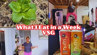 VSG What I Eat in a Week | High Protein Meals | BCAN Trampoline Workout | Garden Harvest
