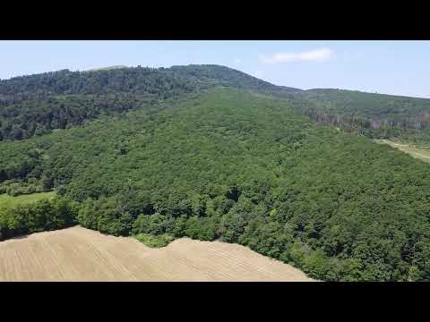 Pensiunea Maria, Agapia (pensiuni-agapia.ro)