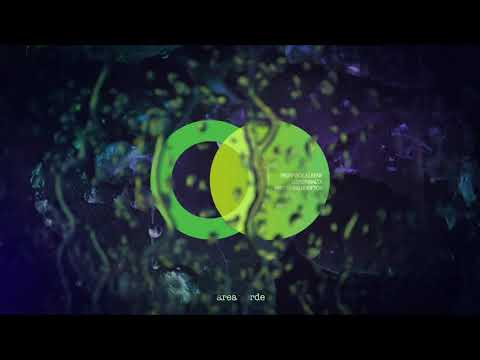 Redspace, Lluis Ribalta - Himalayas (Original Mix) // Area Verde