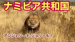 【アフリカ旅行②】南アフリカの隣りの国、ナミビア共和国の旅の始まり。アフリカの動物達と出会う。