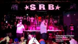 (live) 3rd Bass Reunion Show in NYC