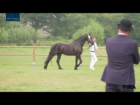 Locatiekeuring Stal Albert Lueks 16-8-2020